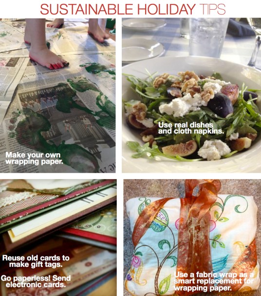sustainable_holiday_series