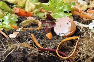 various wastes for composting
